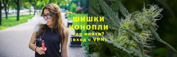 спайс Няндома
