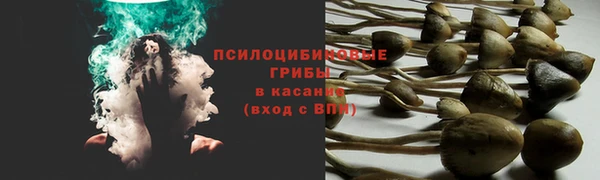 СК Алзамай