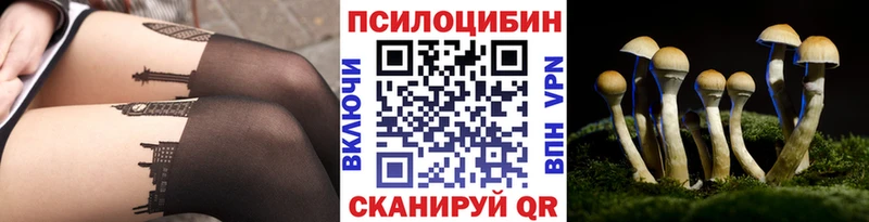 Галлюциногенные грибы Psilocybine cubensis  Навашино 
